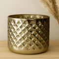 GOLDEN DIAMOND CUT PLANTER