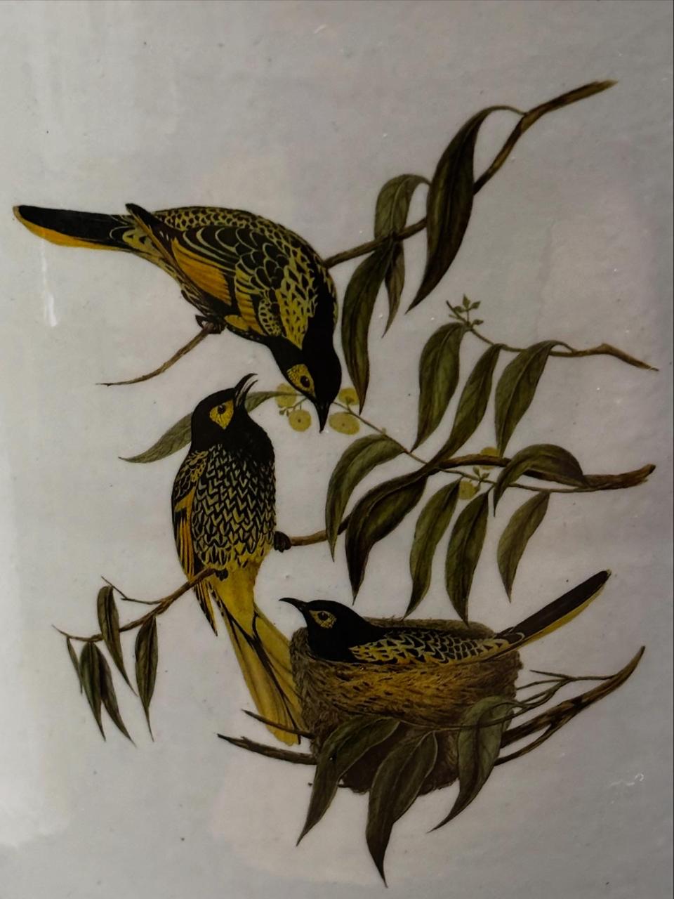 WHITE PLANTER WITH BIRDS ENGRAVING (SET OF 3)