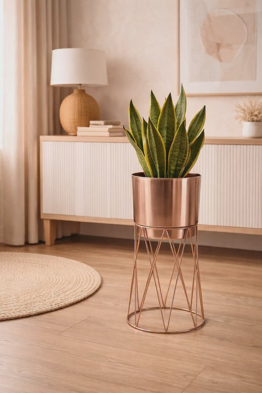 Rose Gold Luxury Planter